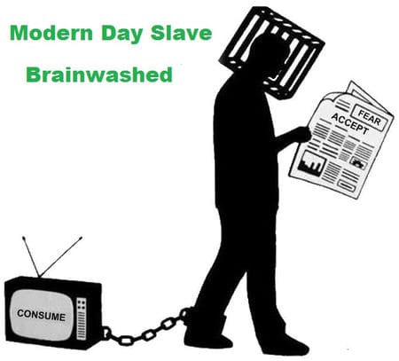 Sheeple - break free from mass media manipulation - stop the brainwashing